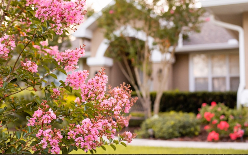 Caloosa Country Club Estates