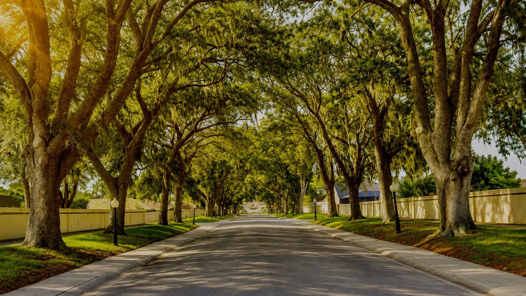Caloosa Boulevard 